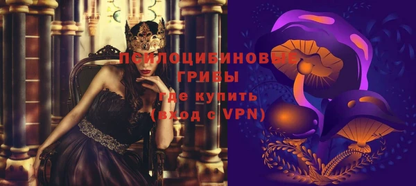 тгк Мегион