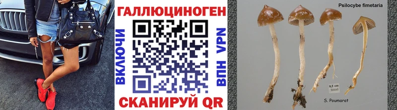 Галлюциногенные грибы прущие грибы  где можно купить   Рассказово 