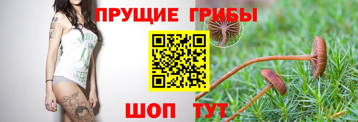 Галлюциногенные грибы мухоморы  Вход с VPN  Рассказово  Псилоцибиновые грибы прущие грибы 
